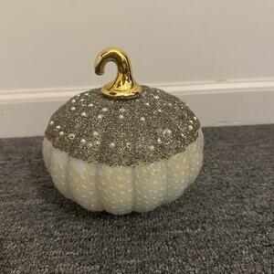 Shabby Chic Beaded Pearl Light up LED Glass Pumpkin Metal Stem Autumn Fall Decor